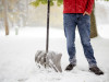 RNP pauž neapmierinātību ar sniega tīrīšanu Rīgā