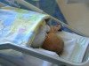 LM meklē iespējas saglabāt ģimenes valsts pabalstu līdzšinējā apmērā