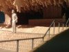 Atsakoties no dalības “Expo”, Latvija ietaupīs vairāk kā 3 miljonus eiro